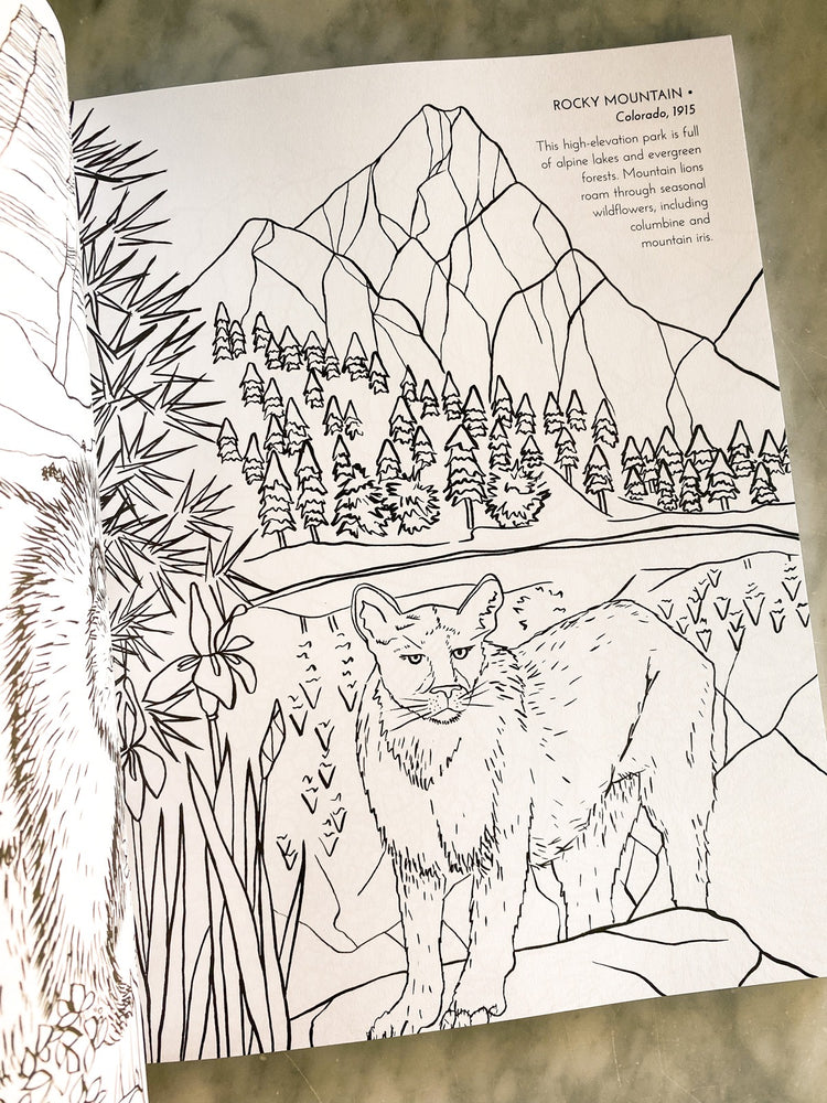 The national parks coloring book â root adorned