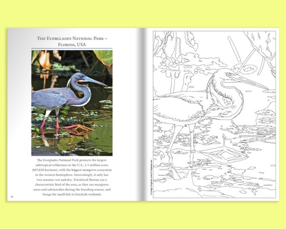 Coloring book national parks national park activity pages adult coloring pages national parks drawing national parks template