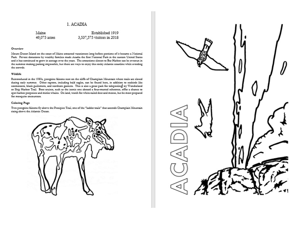 We released our new national parks coloring book raven about the parks raven about the forests