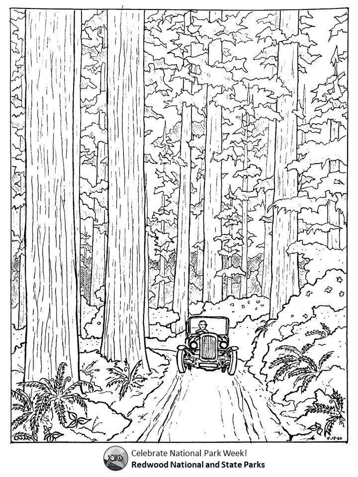 Spring coloring challenge