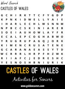Word search activity ideas for seniors the elderly