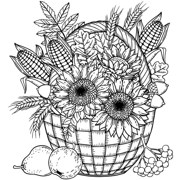 Autumn harvest in a basket for thanksgiving day vector coloring page for adult black and white basket with leaves sunflower corn apple pear acorn and pumpkin stock illustration