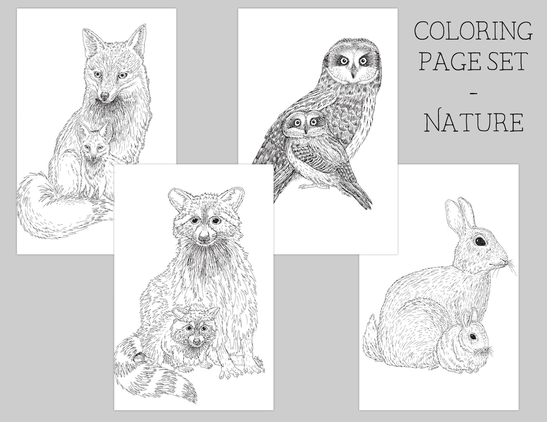 Nature coloring page adult coloring page printable coloring colouring pages forest coloring pages animal coloring book colorbook