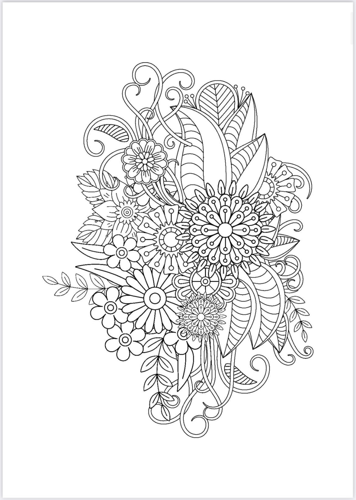 Adult coloring book