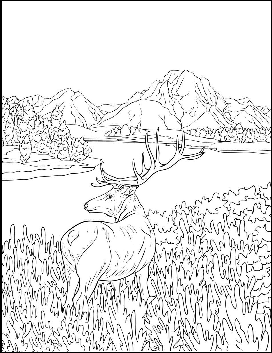 Great outdoors landscapes pdf coloring book wild nature grand canyo â rachel mintz coloring books