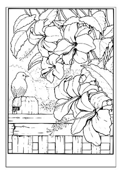 Escape into the beauty of nature with our scenery coloring pages for adults p