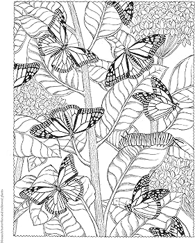 Creative haven naturescapes coloring book adult coloring books nature wynne patricia j books