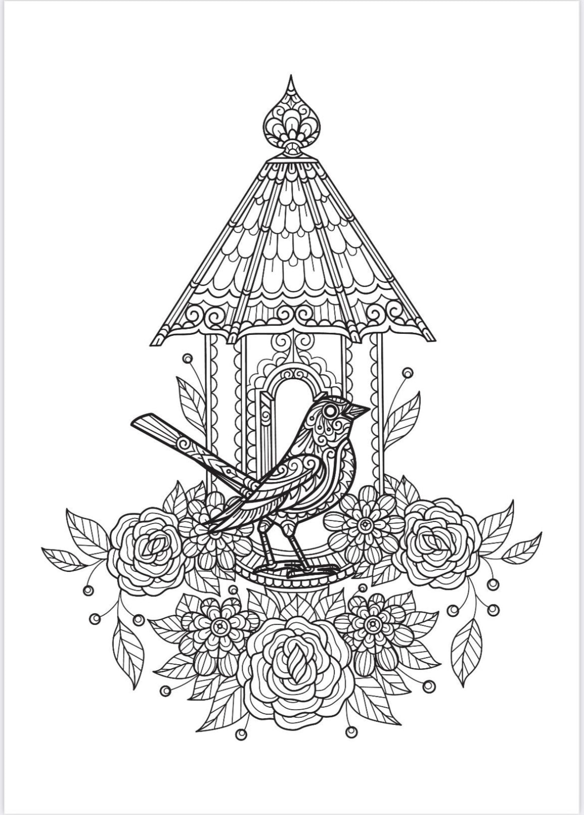 Adult coloring book