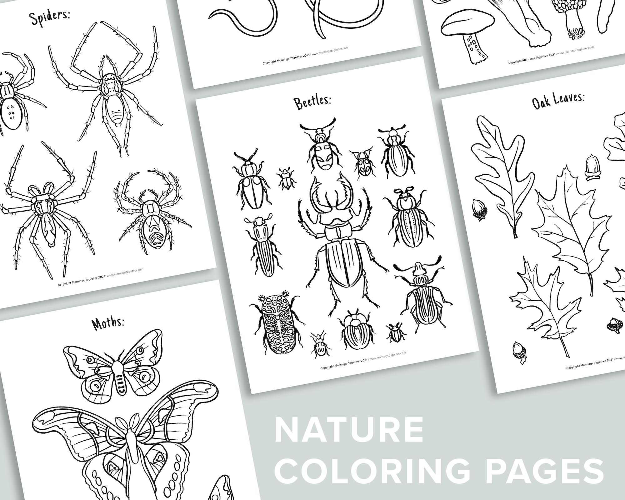 Nature coloring pages â mornings together