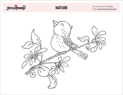 Free nature coloring pages thatll make you want to get outside
