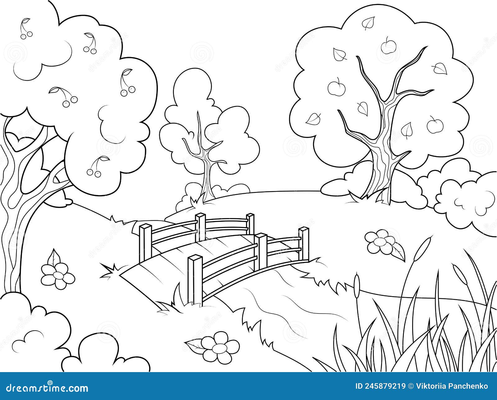 Landscape nature garden with trees and river wooden bridge children coloring book stock vector
