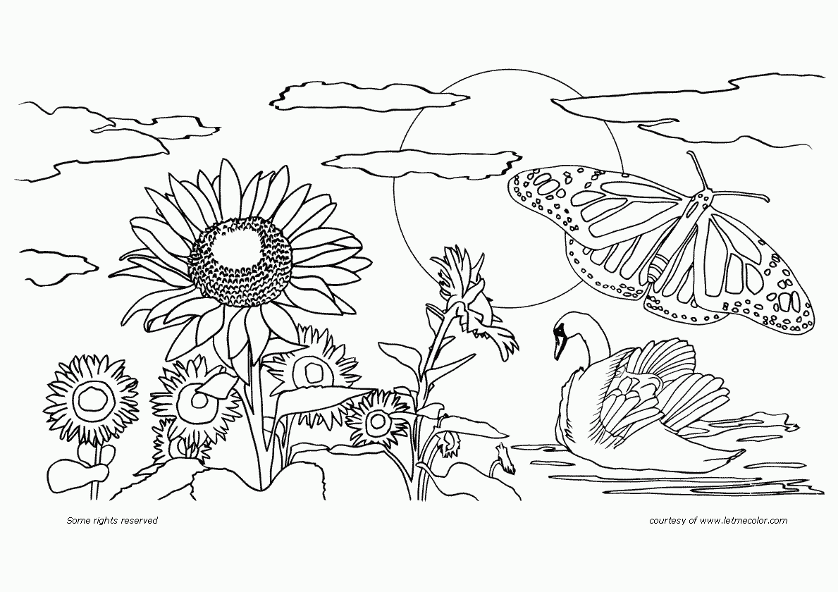 Nature coloring pages to download and print for free