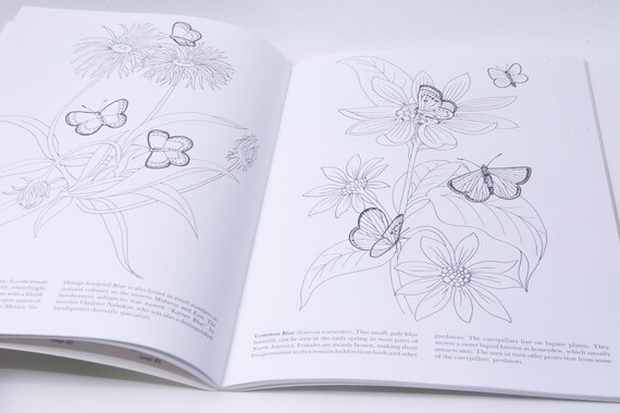 Butterflies jan sovak monty reid dover coloring book zoology vintage nature animals child reading nursery library m
