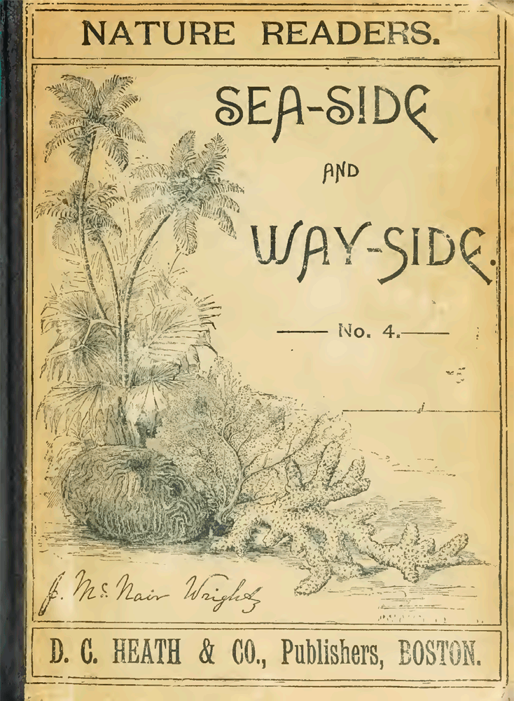 Nature readers sea side and way side book free printable papercraft templates