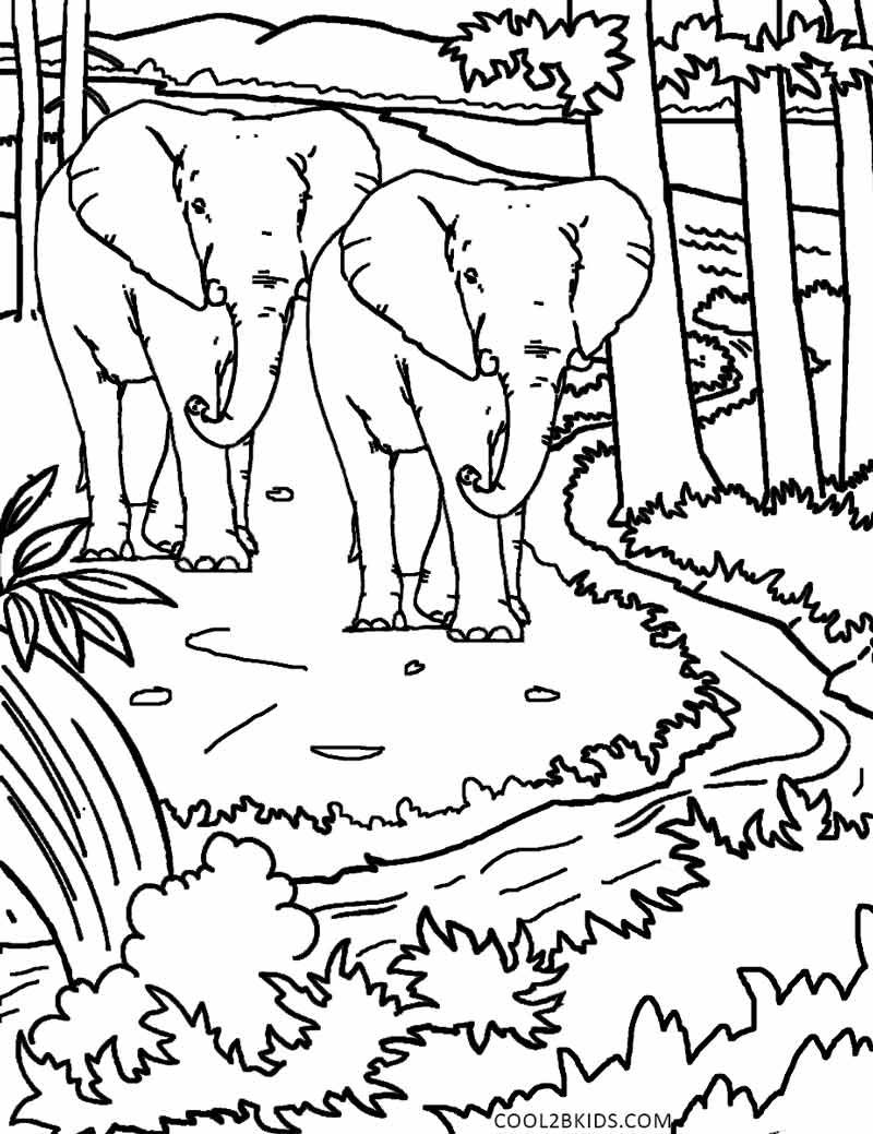Printable nature coloring pages for kids coolbkids coloring pages nature unicorn coloring pages coloring pages