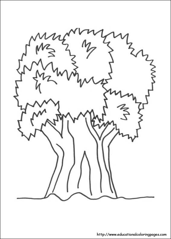 Nature coloring pages