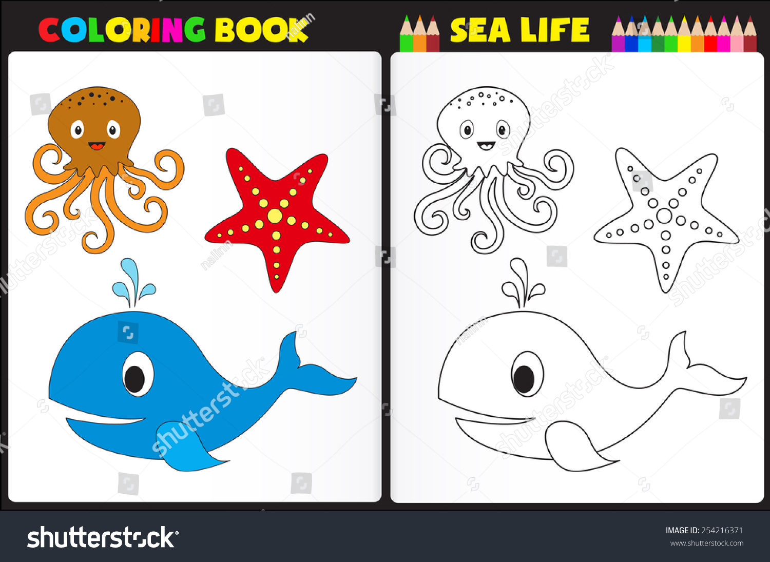 Nature coloring book page activity worksheet stock vector royalty free