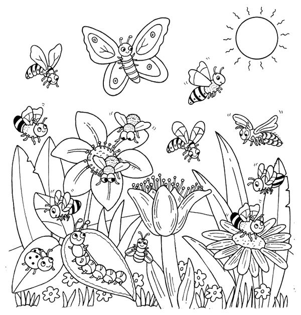 Coloring page bugs in nature worksheets