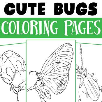 Bugs coloring pages for kids color varity of amazing nature insects worksheets