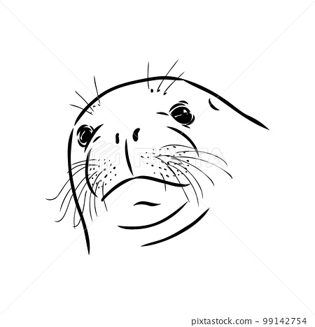 The animal is a navy seal monochrome logo of a