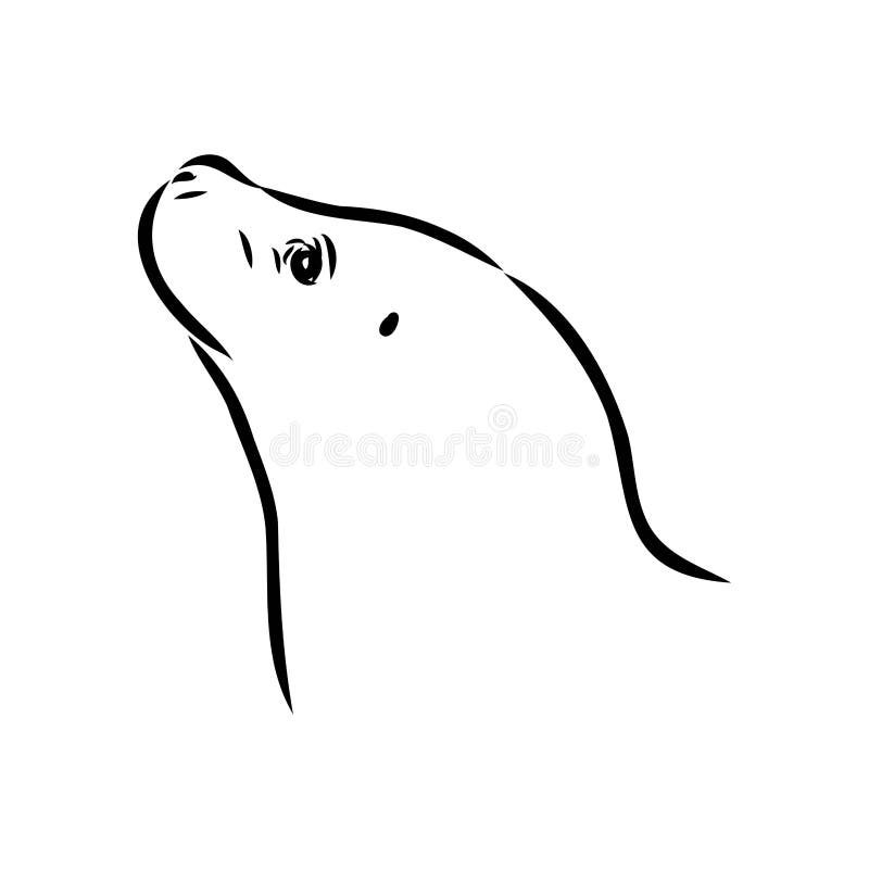 The animal is a navy seal monochrome logo of a marine animal vector isolated hand drawing in doodle style stock vector