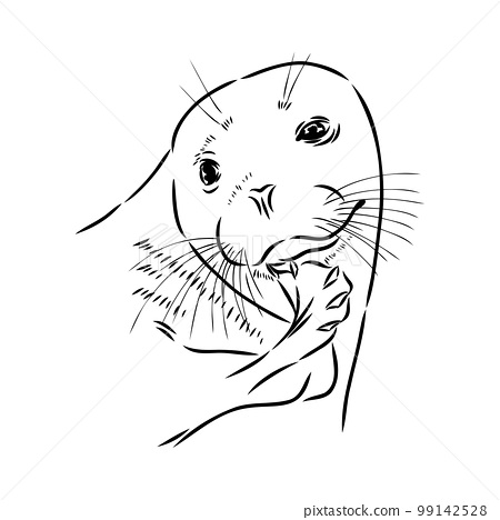 The animal is a navy seal monochrome logo of a
