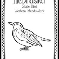 Birds â page â the art kit