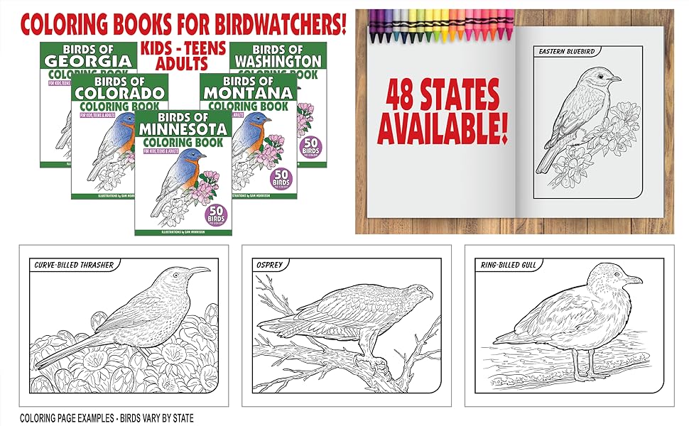 Birds of nebraska coloring book for kids teens adults a collection of mon unique birds of nebraska for bird watchers to identify and color morrison sam books