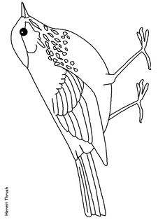 Nebraska ideas nebraska nebraska state coloring pages