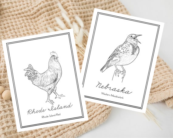 State bird coloring pages usa state birds homeschool geography digital coloring pages