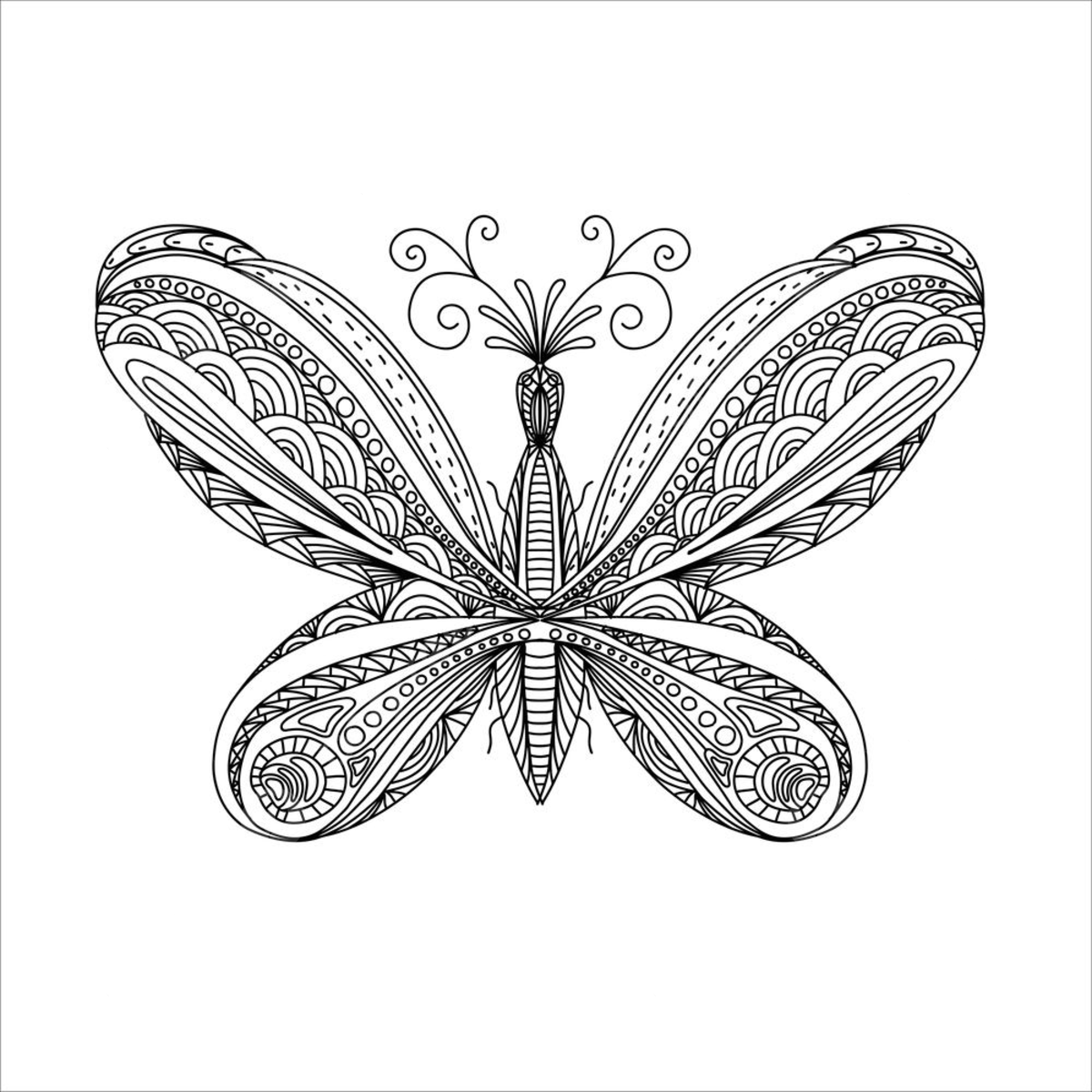 Dibujo de mariposa para colorear dibujada pãgina negra png dibujos dibujo de mariposa dibujo de anillo dibujo en color png y vector para dcargar gratis