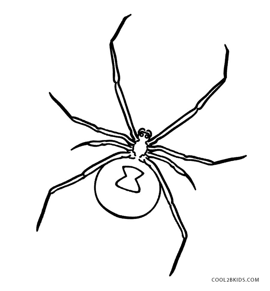 Free printable spider coloring pages for kids