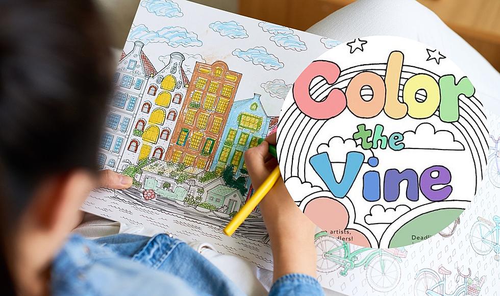 Kalamazoo vine neighborhood looking for artists for coloring book