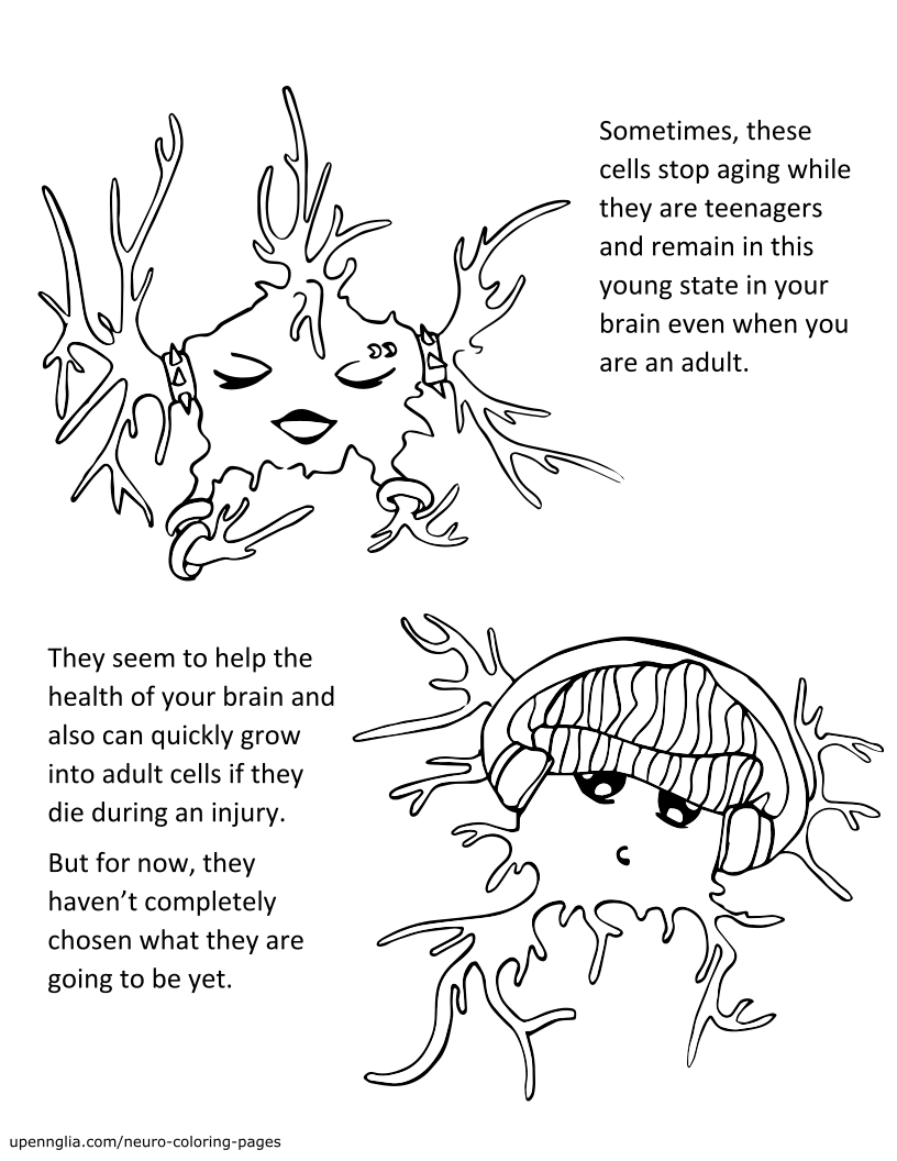 Neuro coloring ppages â glia