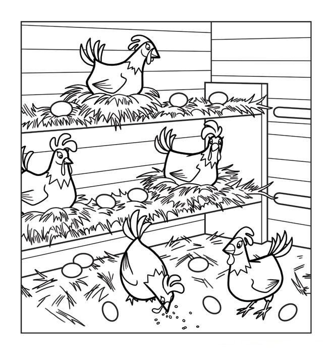 Chicken coloring pages