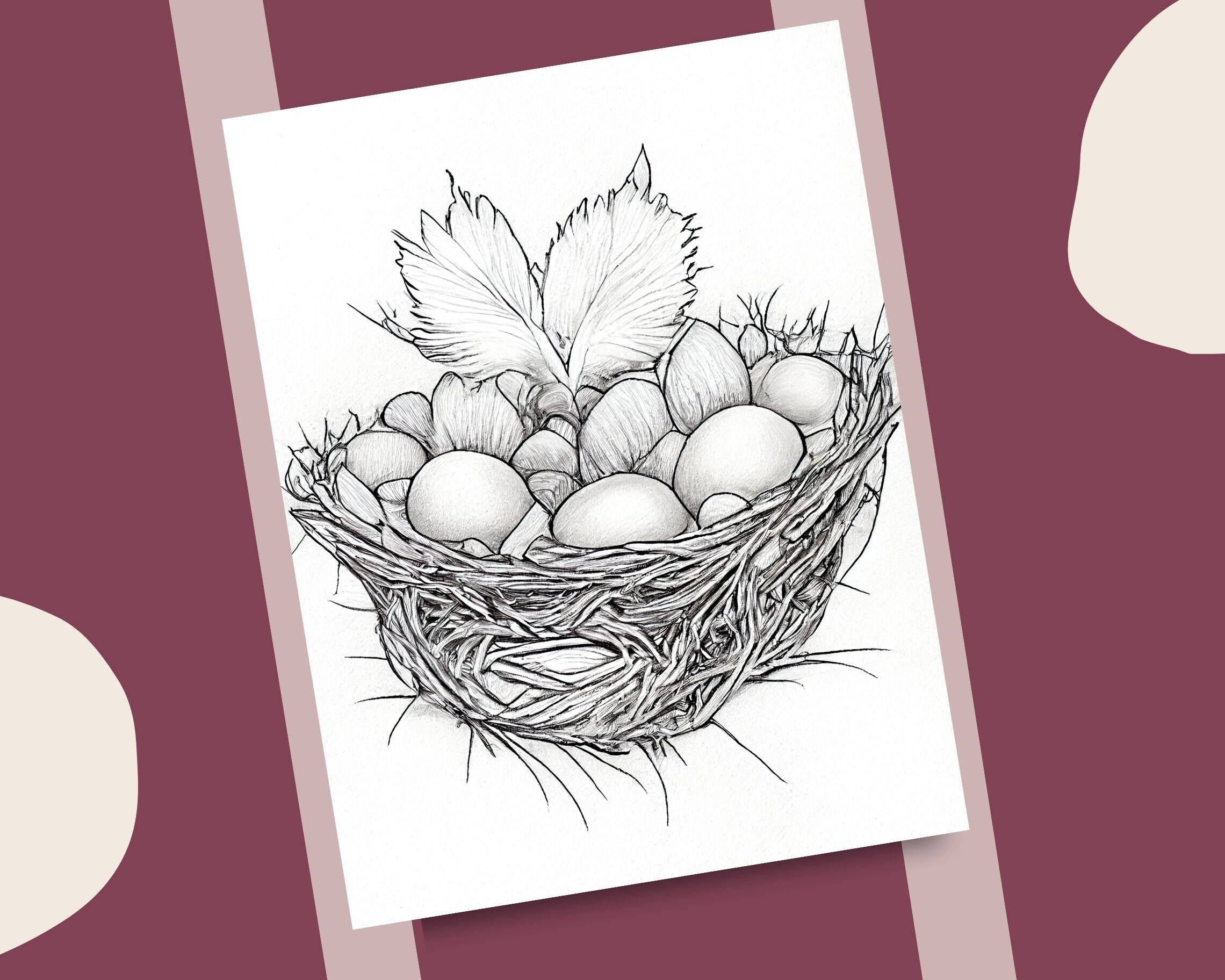 Bird nest coloring pages bird eggs and bushy nests printable coloring book bird nest digital coloring page