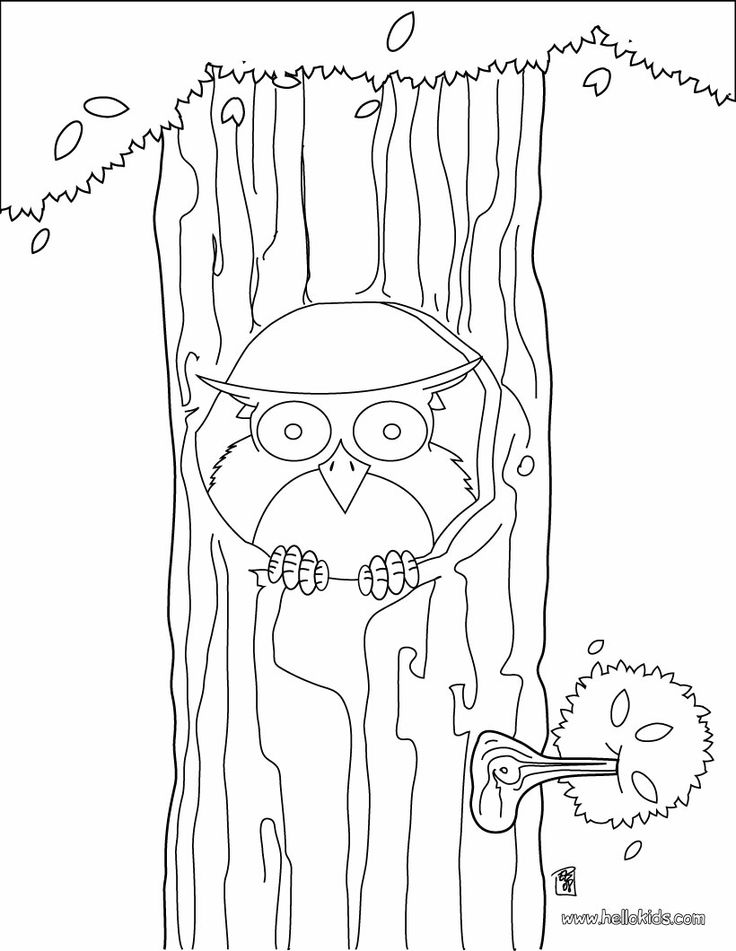 Bird coloring pages