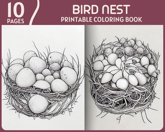 Bird nest coloring pages bird eggs and bushy nests printable coloring book bird nest digital coloring page
