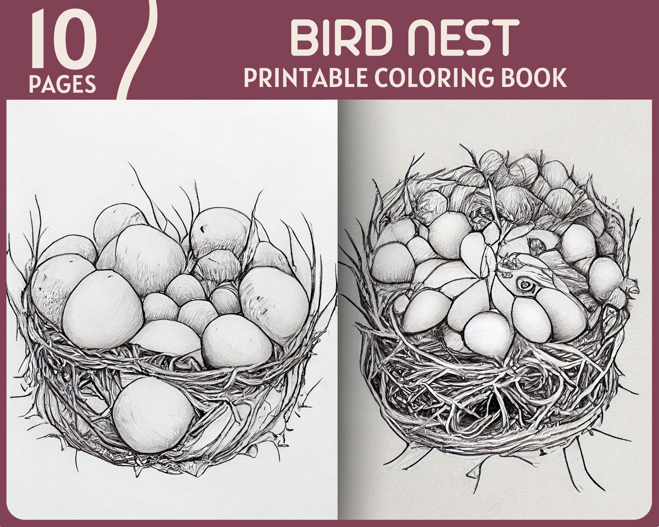 Bird nest coloring pages bird eggs and bushy nests printable coloring book bird nest digital coloring page