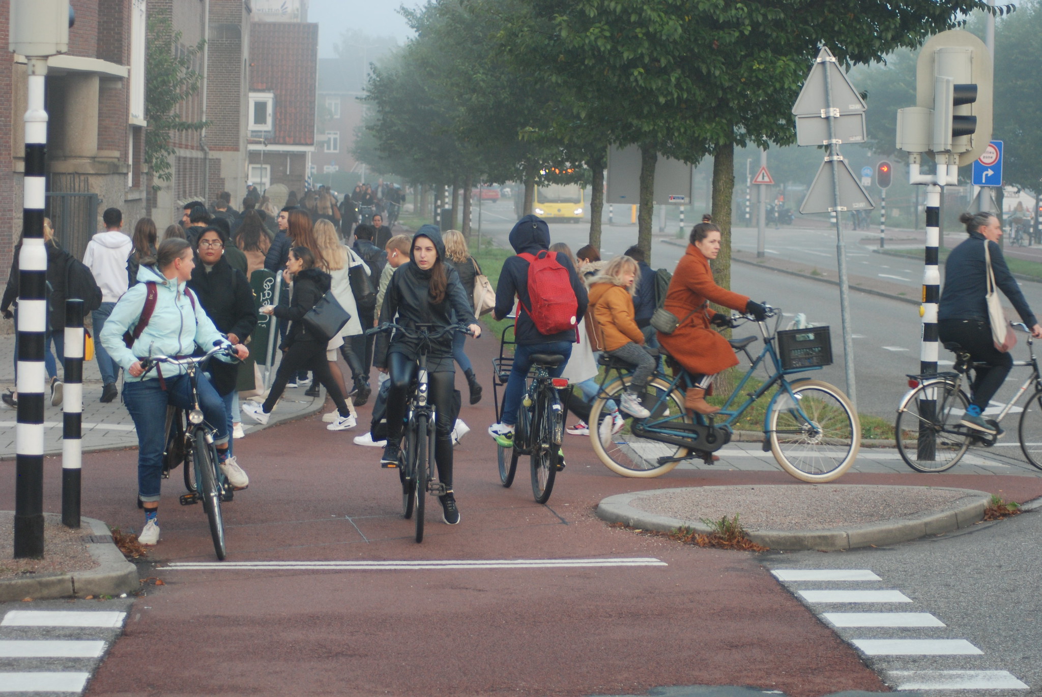 Dutch cycling study tours in october calling politicians and professionals