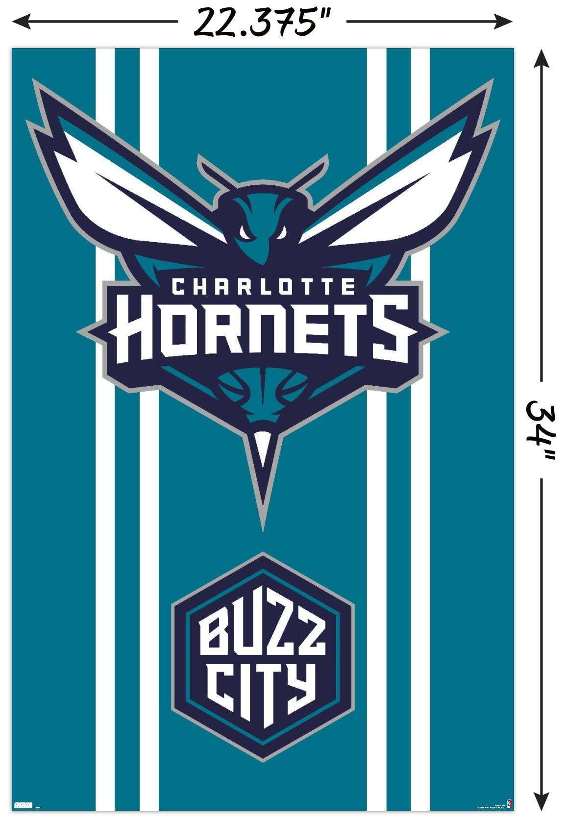 Nba charlotte hornets