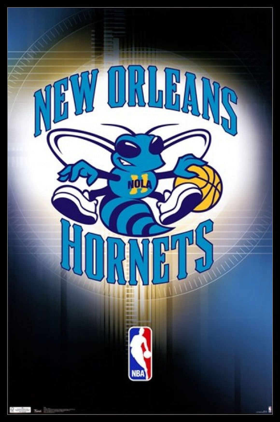 New orleans hornets
