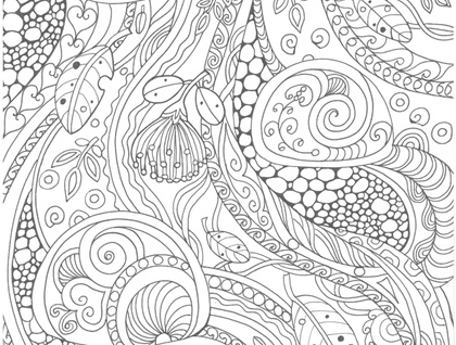 New zealand inspired loring designs
