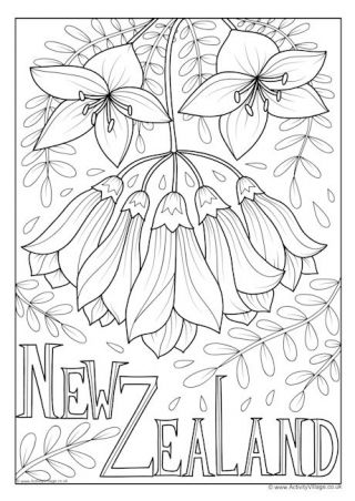 Flowers of the mmonwealth louring pages loring pages flower loring pages loring books
