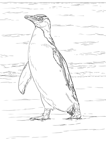 New zealand coloring pages free coloring pages