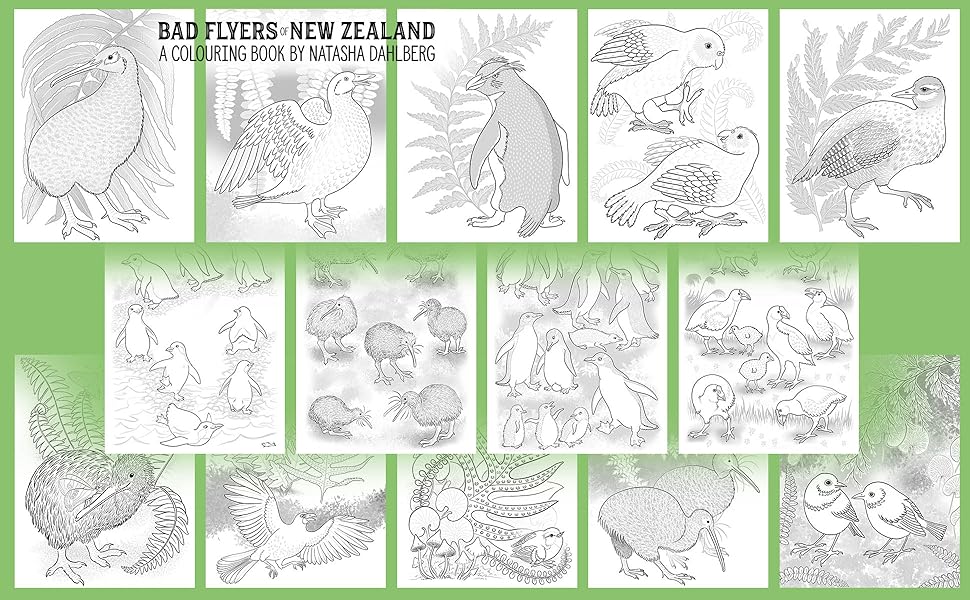Bad flyers of new zealand a colouring book the flightless birds and reluctant flyers of aotearoa a coloring book dahlberg natasha books