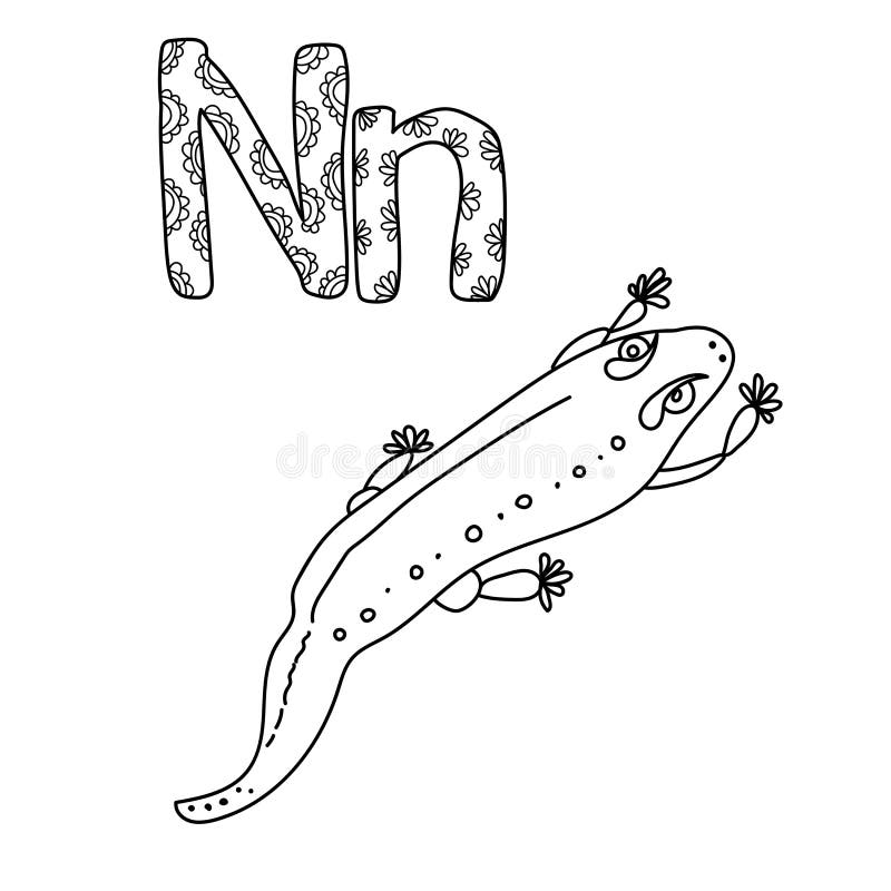 Coloring page for study letter n outline illustration of newt and volumetric letters with patterns stock vector