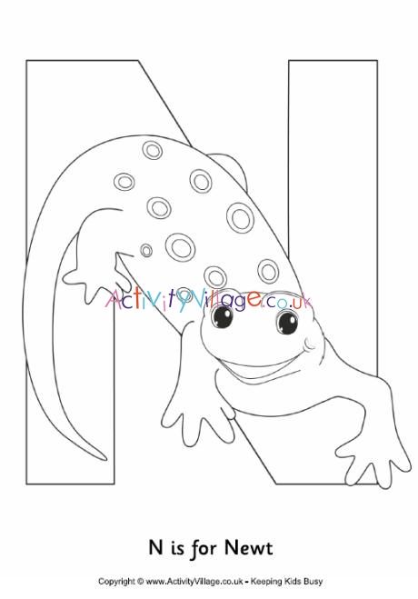 N is for newt louring page happy birthday loring pages birthday loring pages cute loring pages