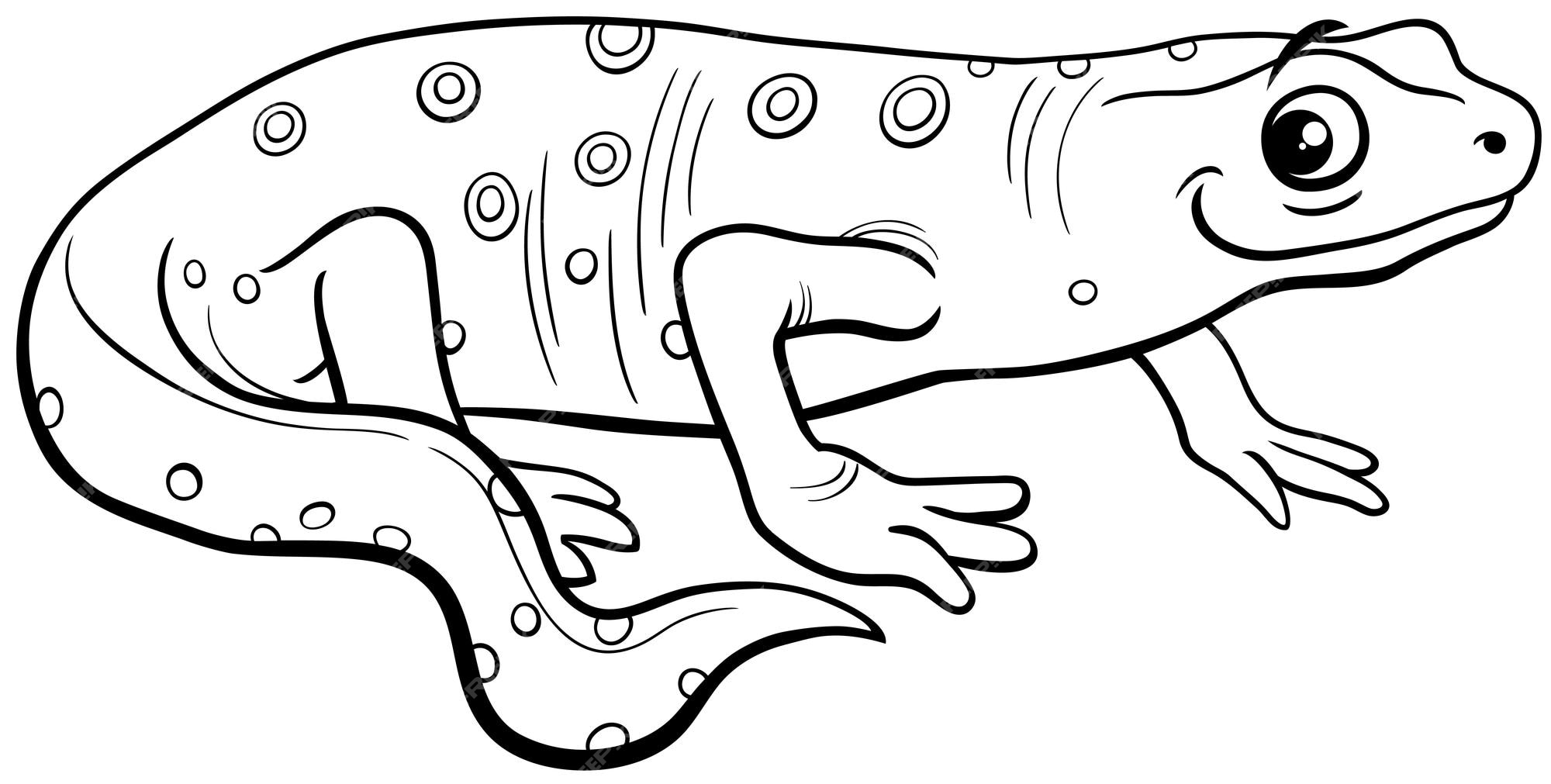 Premium vector cartoon illustration of newt amphibian ic animal character coloring page