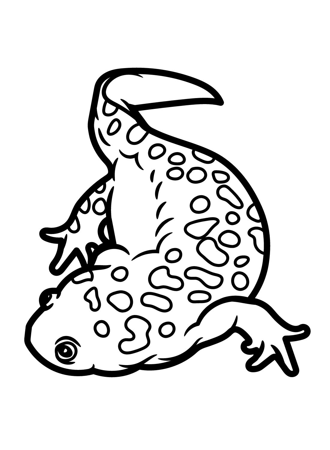 Newt coloring pages printable for free download